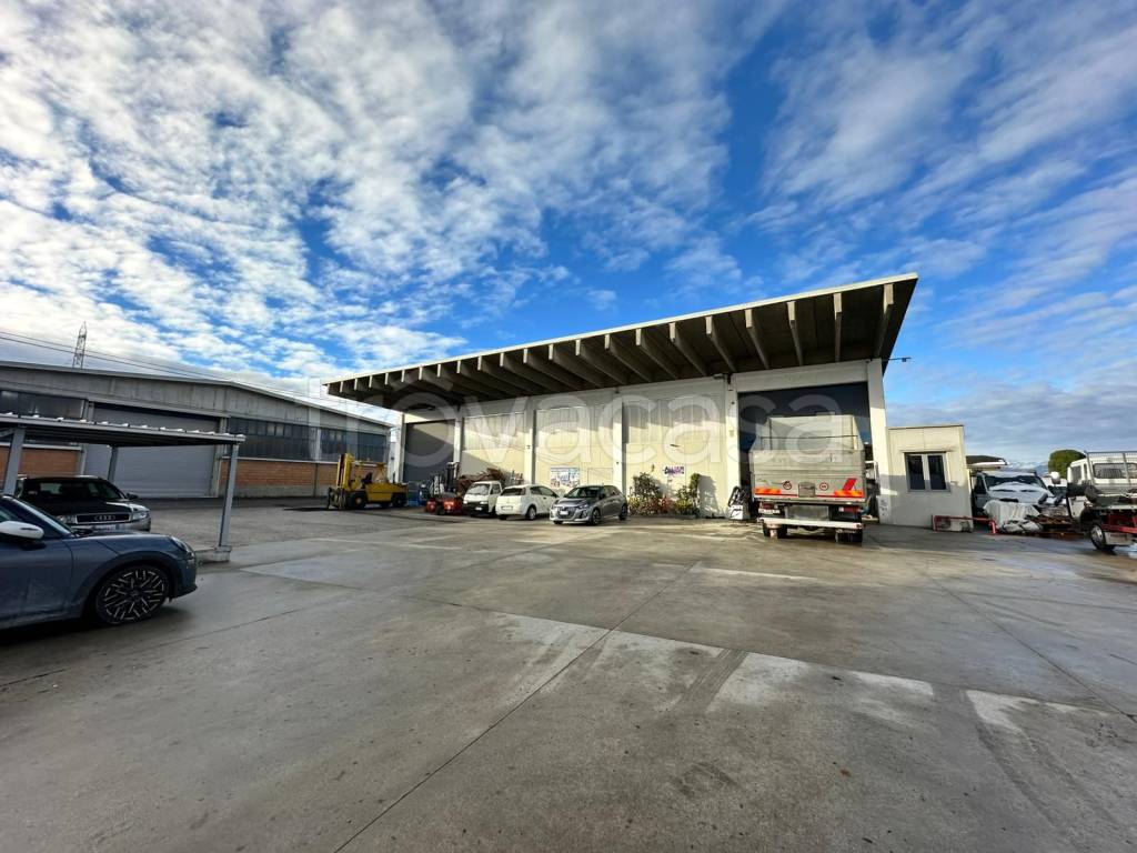 immagine annuncio 2 di 9