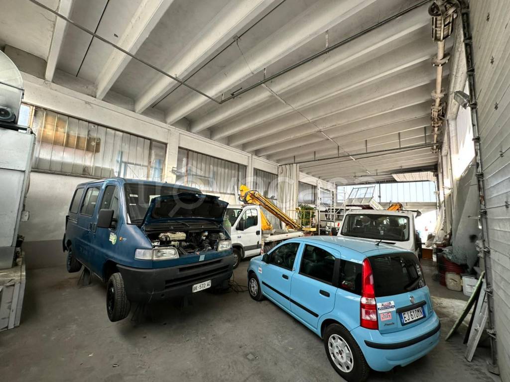 immagine annuncio 4 di 9