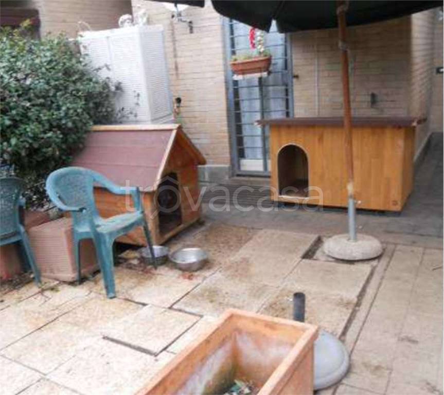 immagine annuncio 5 di 6