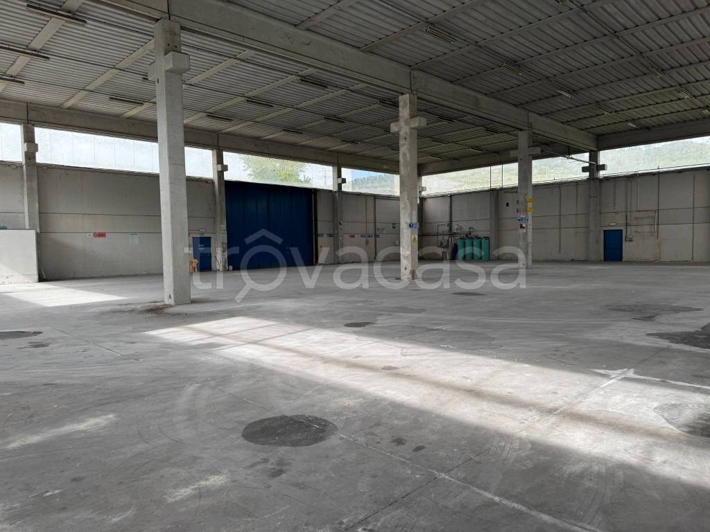 immagine annuncio 2 di 7