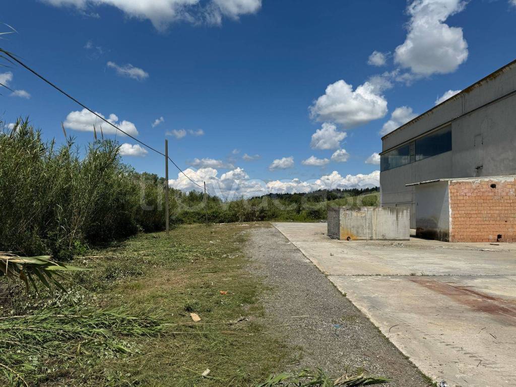 immagine annuncio 3 di 7