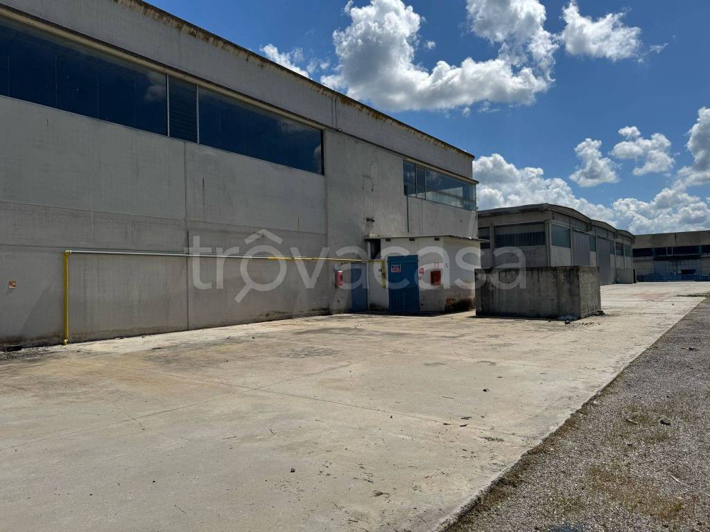 immagine annuncio 4 di 7