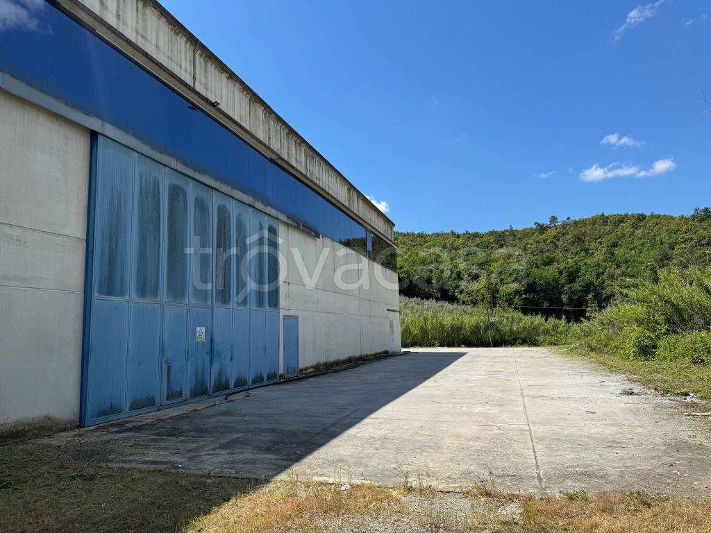 immagine annuncio 5 di 7