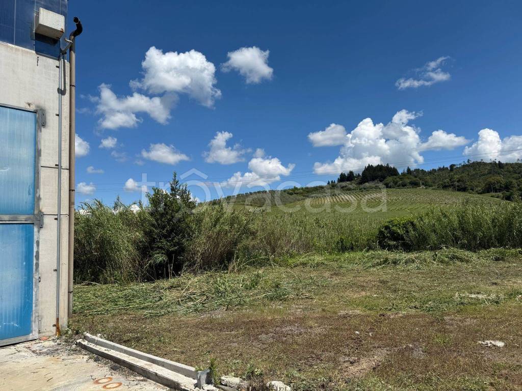 immagine annuncio 6 di 7