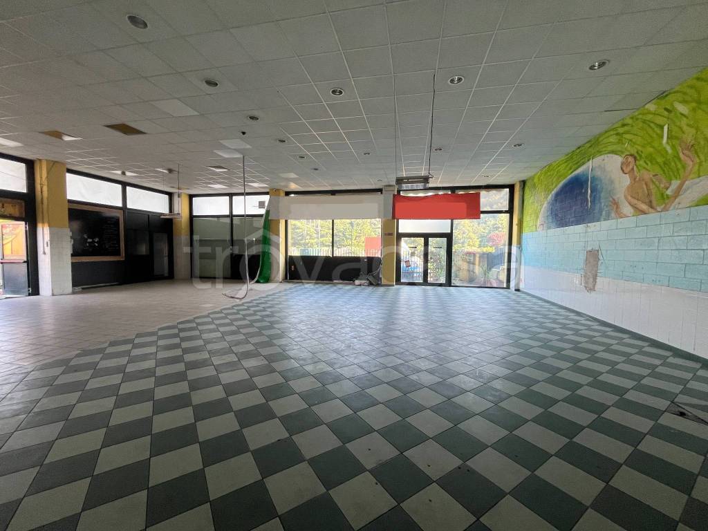 immagine annuncio 3 di 12