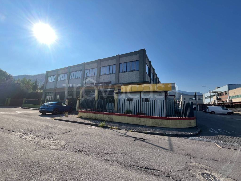 immagine annuncio 9 di 12