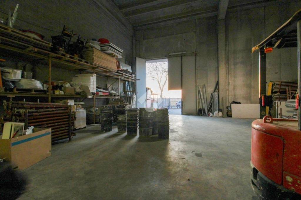 immagine annuncio 9 di 15