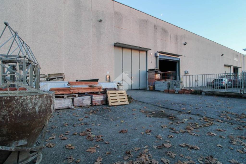 immagine annuncio 1 di 15