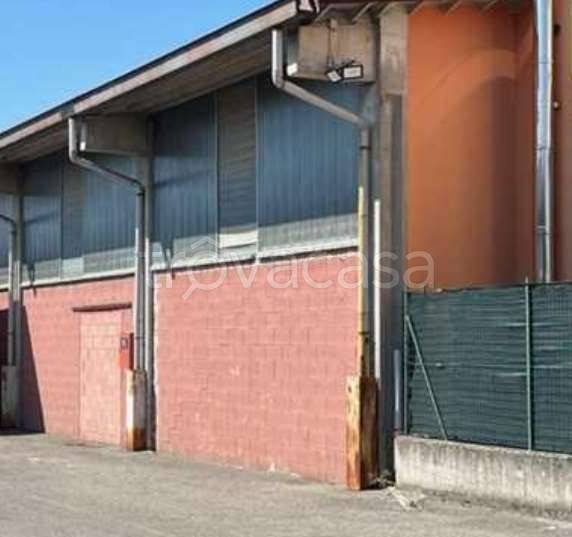 immagine annuncio 5 di 10