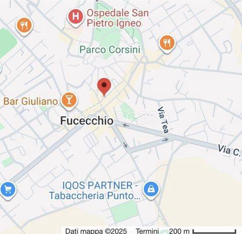 immagine annuncio 9 di 12