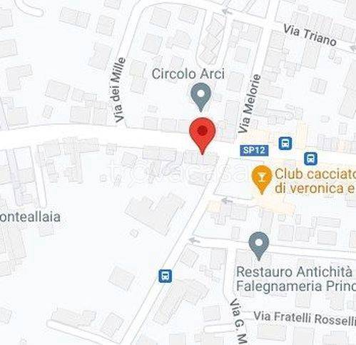 immagine annuncio 10 di 12