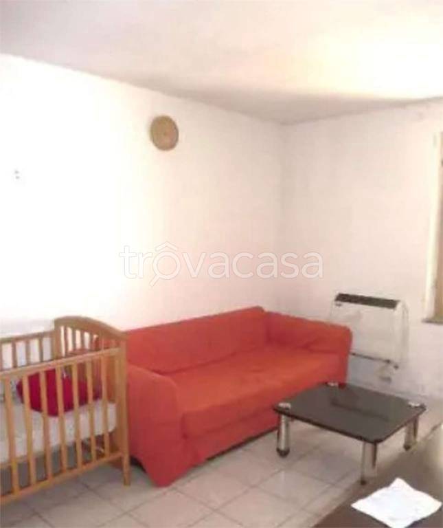 immagine annuncio 12 di 14