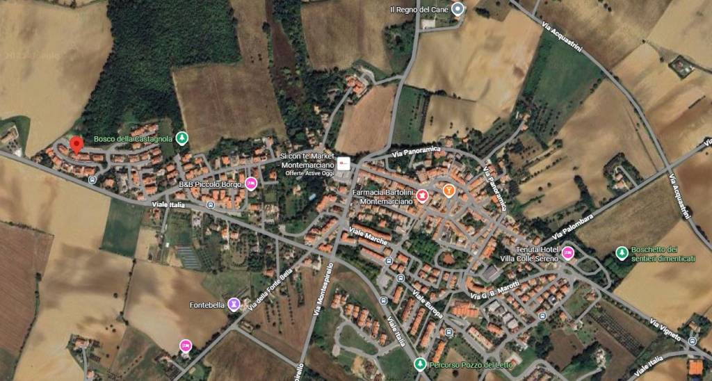 immagine annuncio 5 di 13