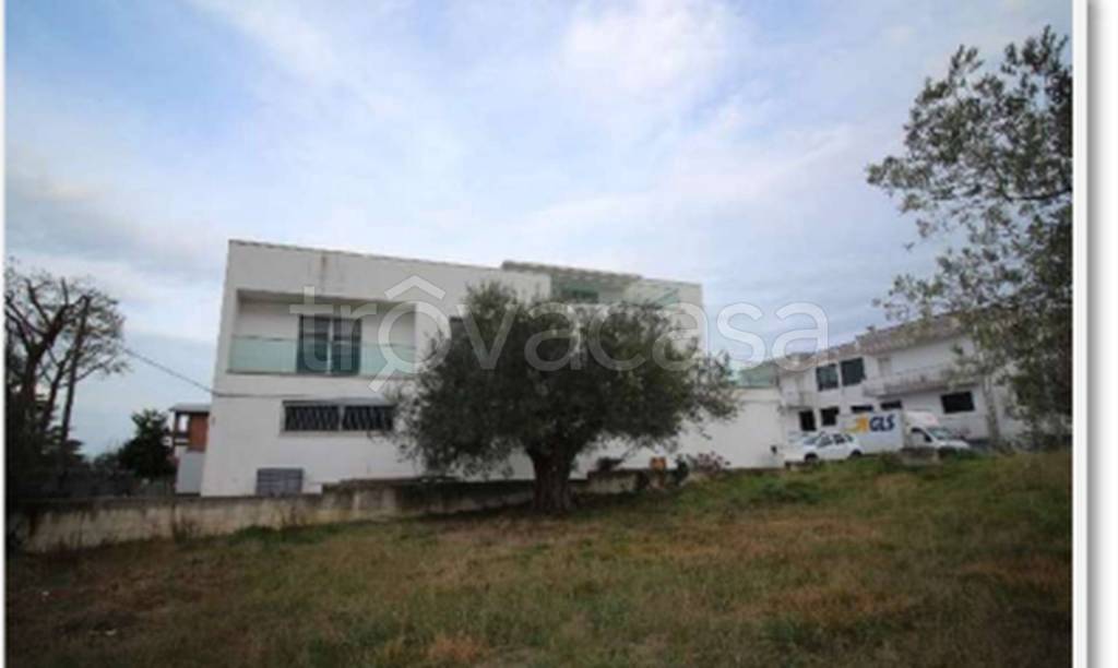 immagine annuncio 5 di 11