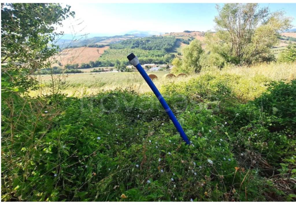 immagine annuncio 6 di 13