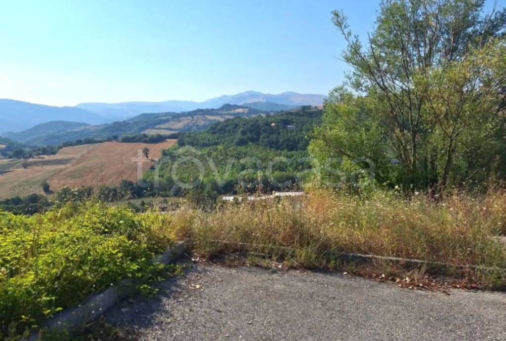 immagine annuncio 7 di 13