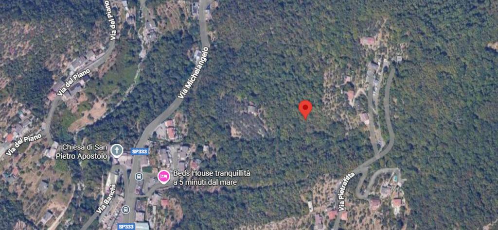 immagine annuncio 3 di 12