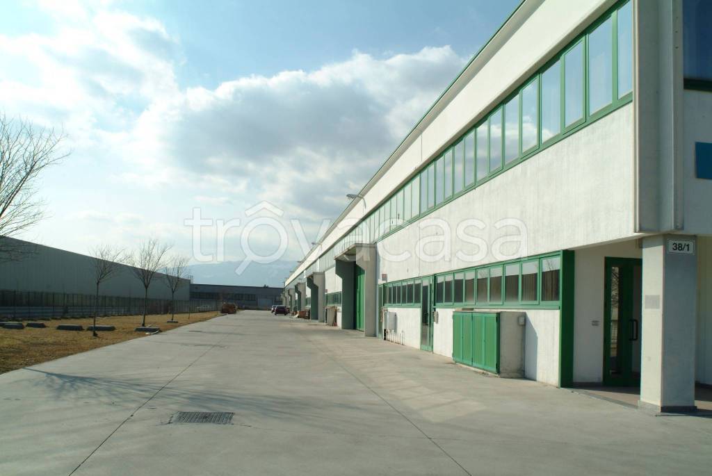 immagine annuncio 14 di 15