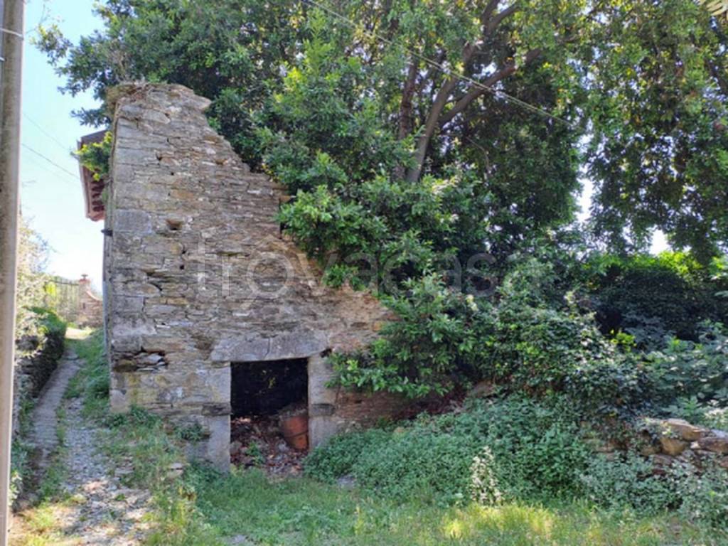 immagine annuncio 9 di 12