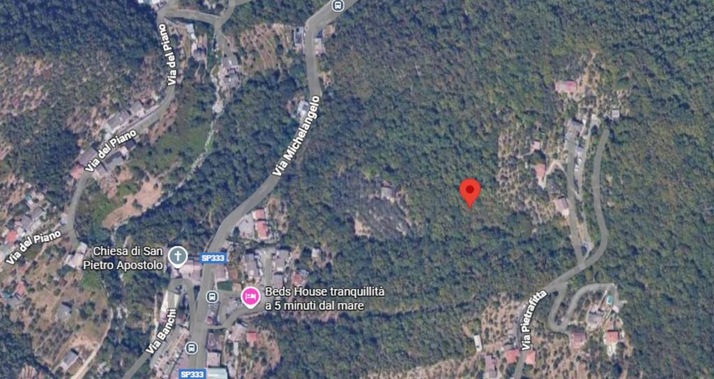 immagine annuncio 10 di 12