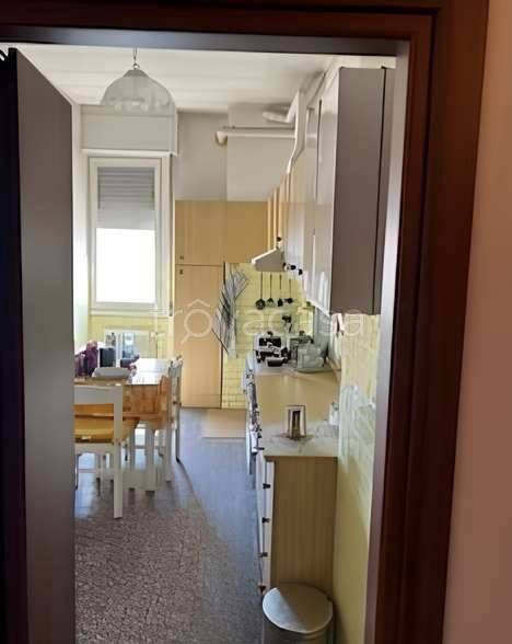 immagine annuncio 5 di 13