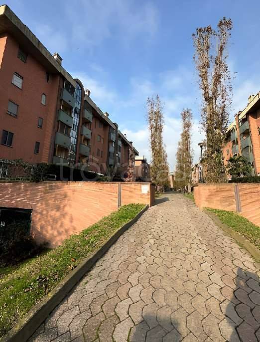 immagine annuncio 1 di 12