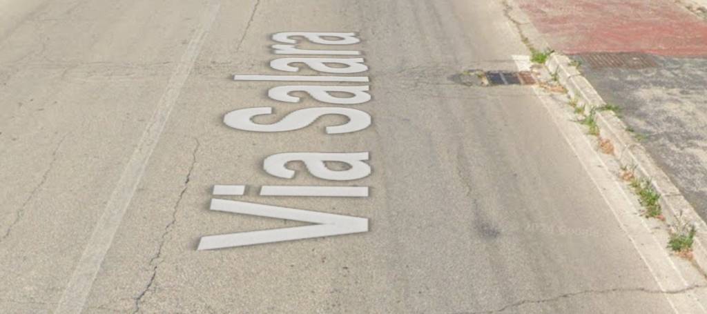 immagine annuncio 1 di 12