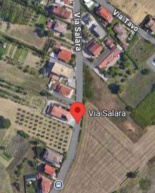 immagine annuncio 10 di 12