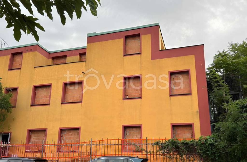 immagine annuncio 2 di 11