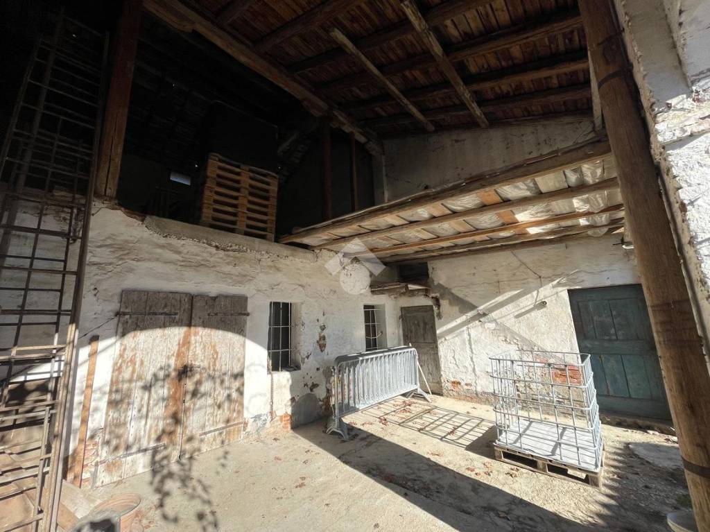 immagine annuncio 4 di 8