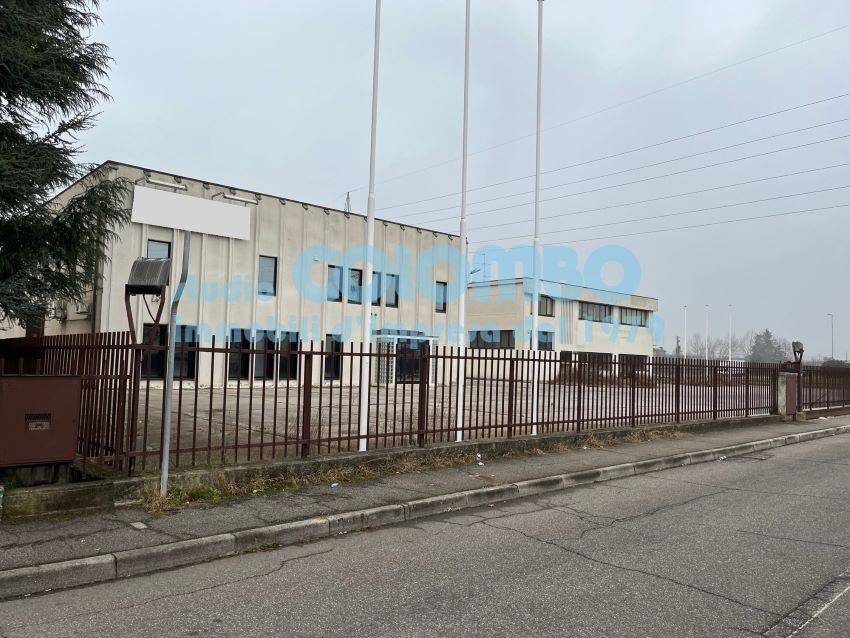 immagine annuncio 4 di 13