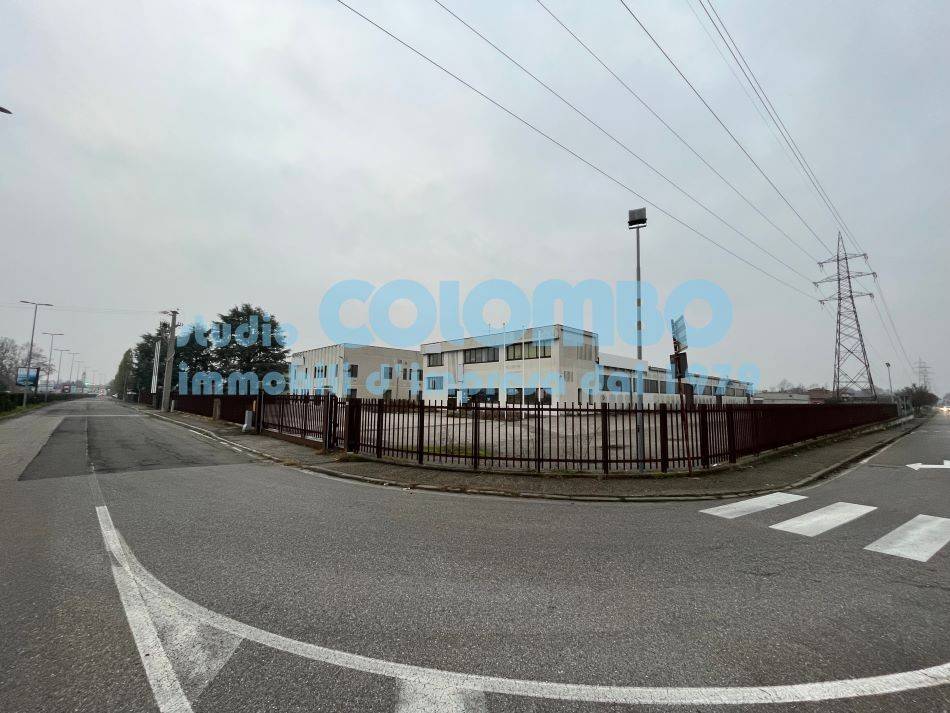 immagine annuncio 5 di 13