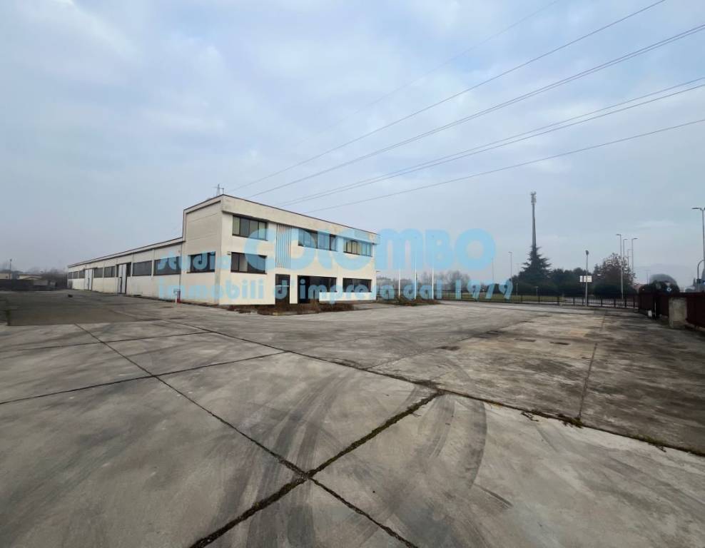 immagine annuncio 10 di 13