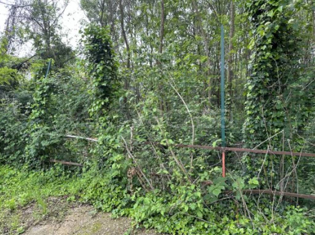 immagine annuncio 3 di 11