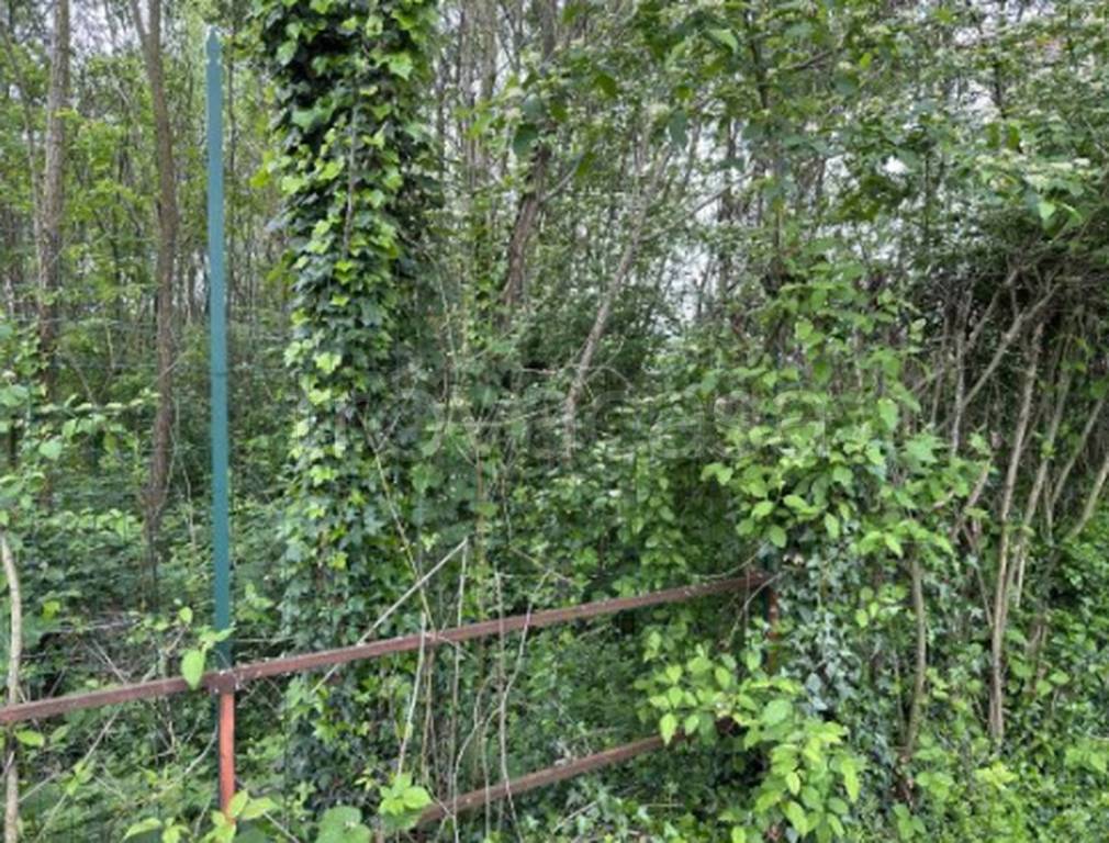 immagine annuncio 4 di 11