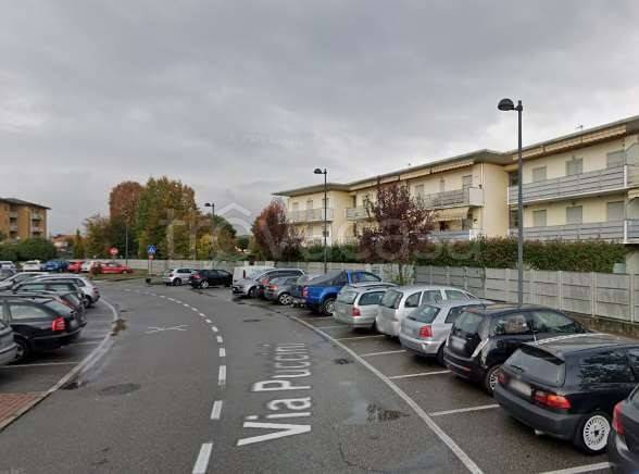 immagine annuncio 11 di 15