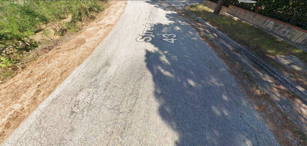 immagine annuncio 3 di 14