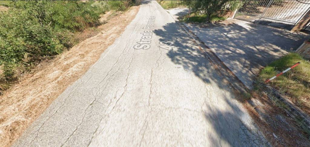 immagine annuncio 4 di 14