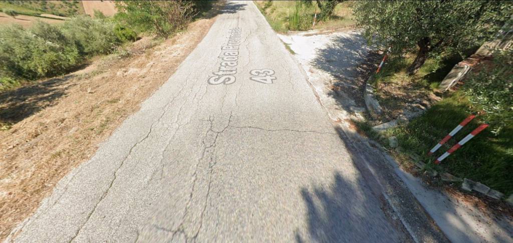 immagine annuncio 5 di 14