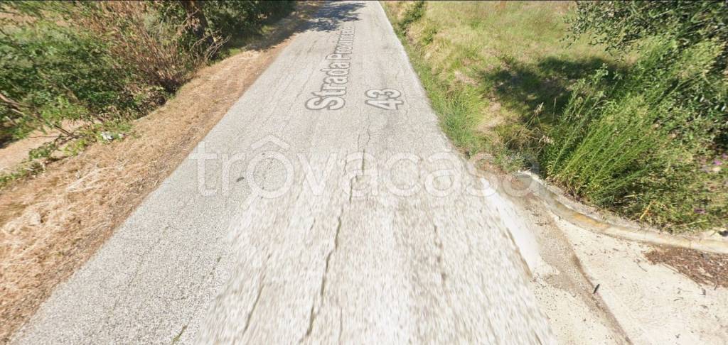 immagine annuncio 6 di 14