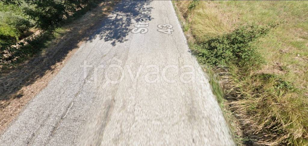 immagine annuncio 7 di 14