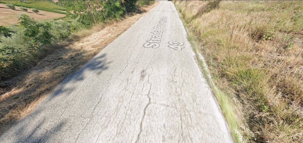 immagine annuncio 9 di 14