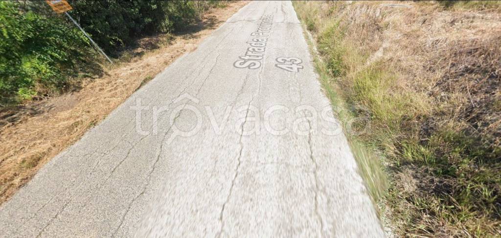 immagine annuncio 10 di 14