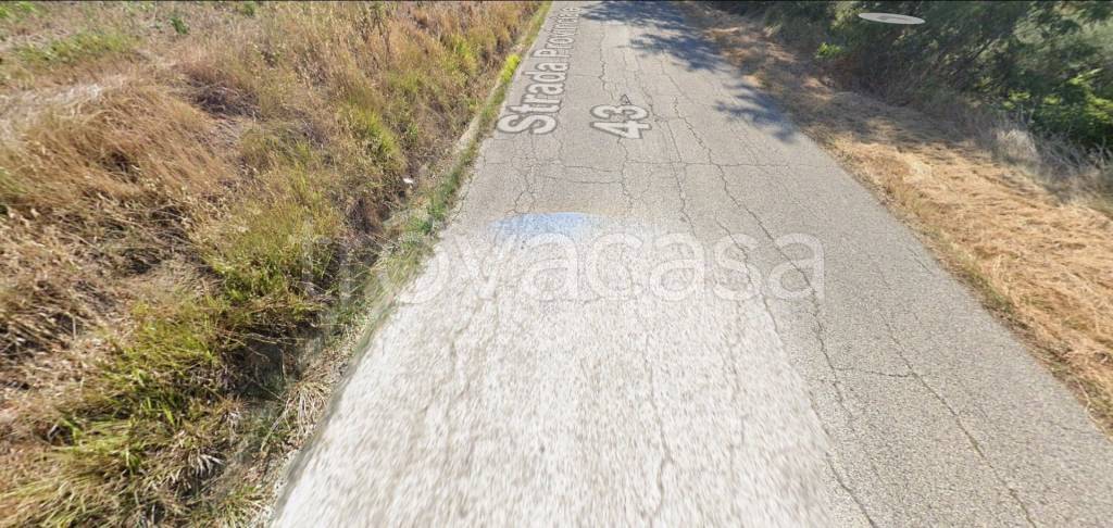 immagine annuncio 11 di 14