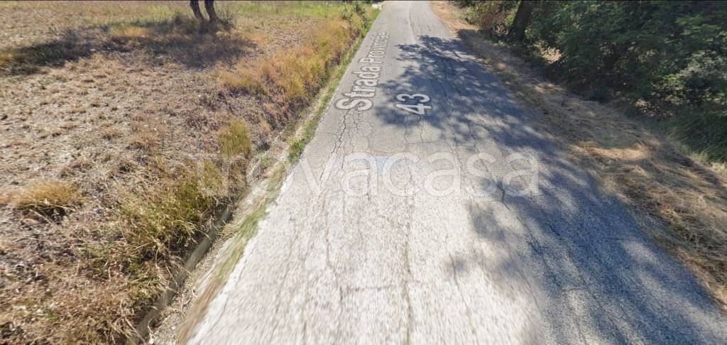 immagine annuncio 12 di 14