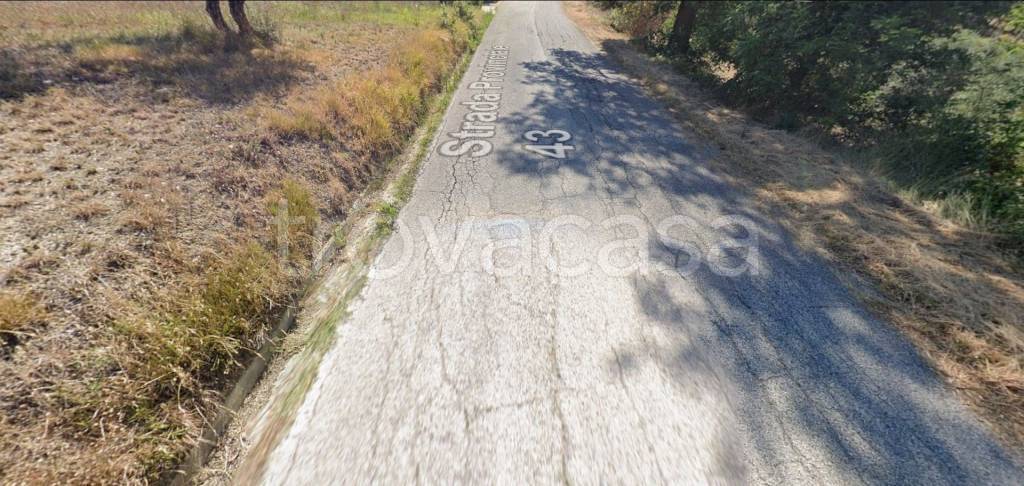 immagine annuncio 13 di 14