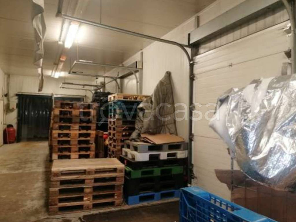 immagine annuncio 4 di 12