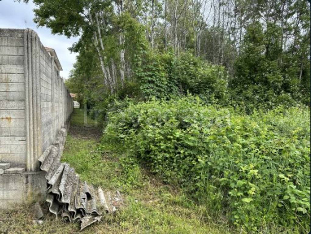 immagine annuncio 6 di 12