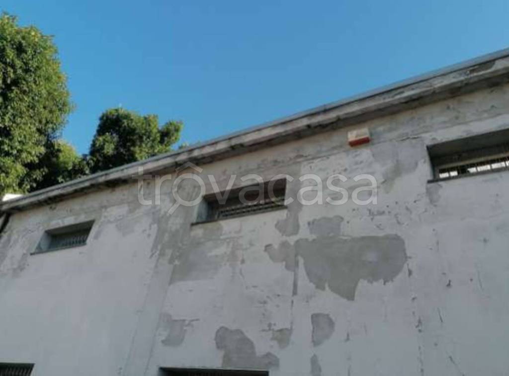 immagine annuncio 7 di 12