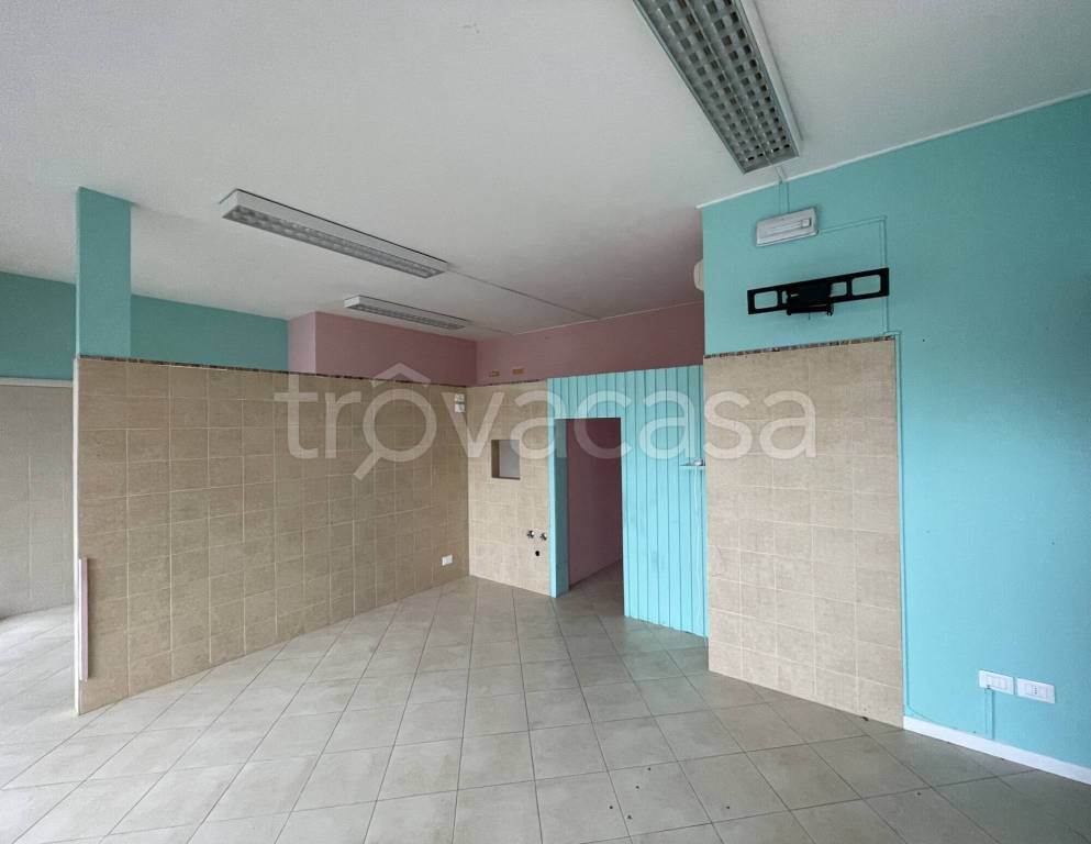 immagine annuncio 3 di 8